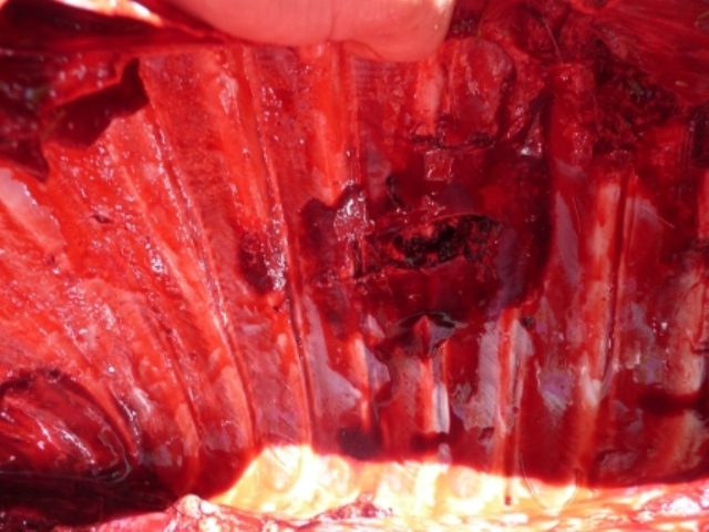180VLD 575y exit compressed.jpg